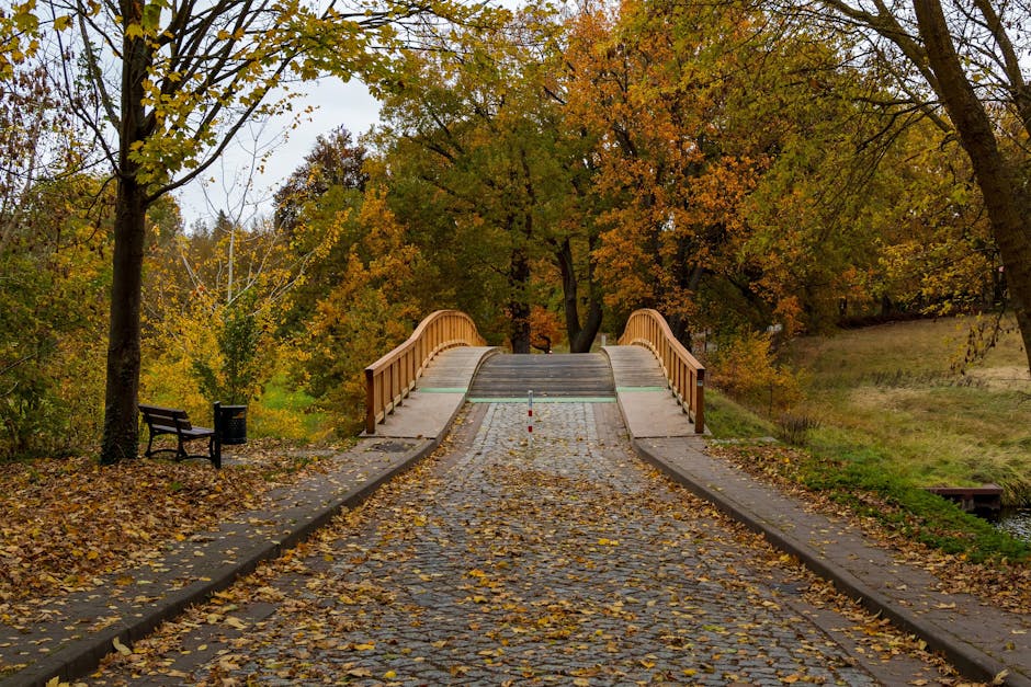 ETF 是什麼意思:揭開財富增長的神秘面紗